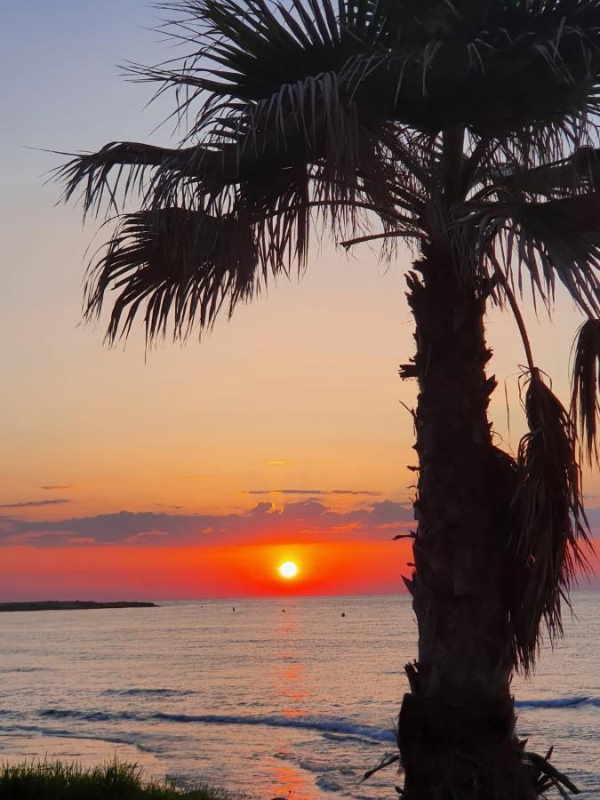 Gemuetliche Ferienwohnung In Torrevieja Ca100M Vom Strand Playa Del Cura Entfernt Exterior foto